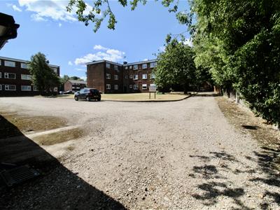 Picture 19